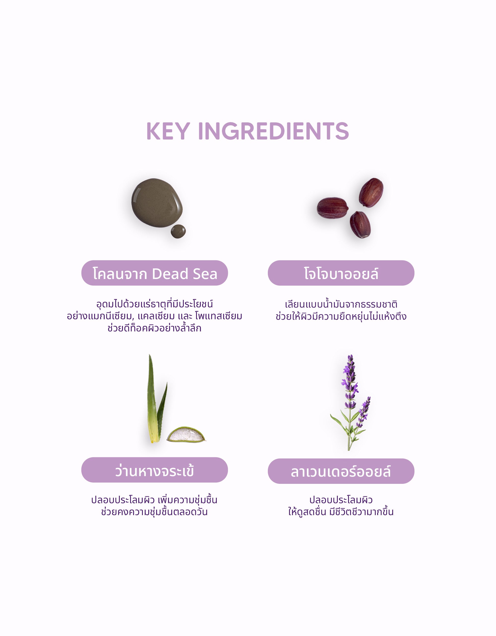 LIQUICK - Liquid Dead Sea Mud Mask